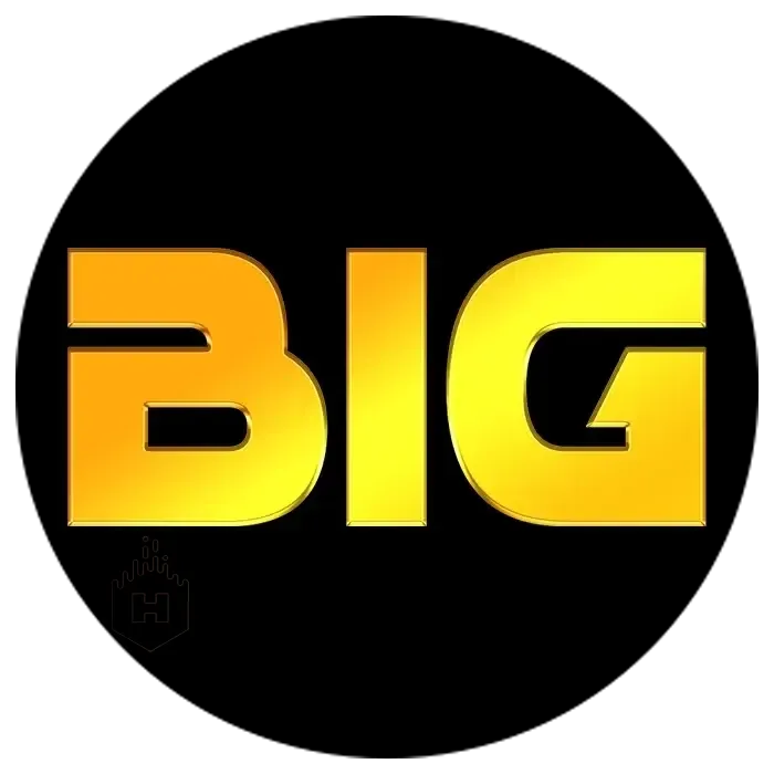 BIGHOKI - Dompet Digital Terpercaya untuk Semua Transaksi Keuangan Anda